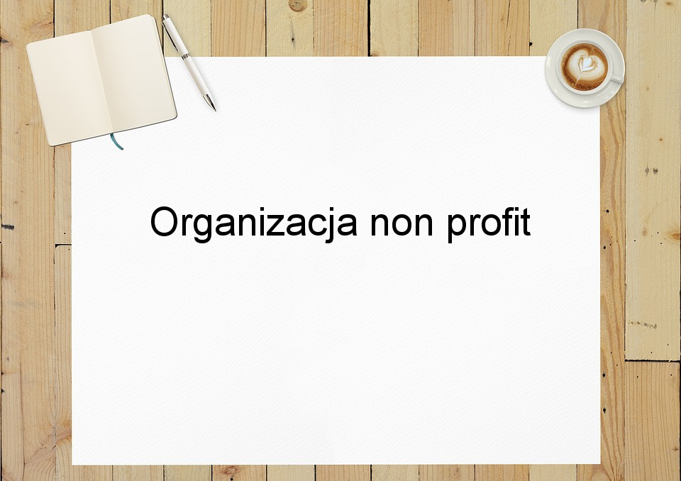 Organizacja non profit