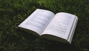 6d4db80cd7d4e30cad6774f2ae1fb2f6929_350x200