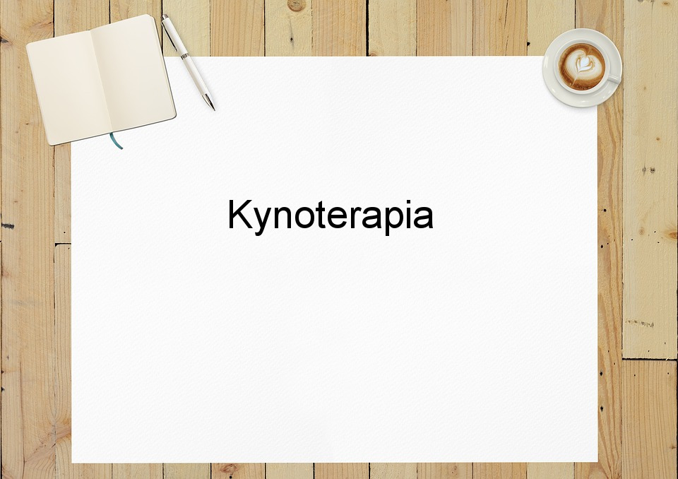 Kynoterapia