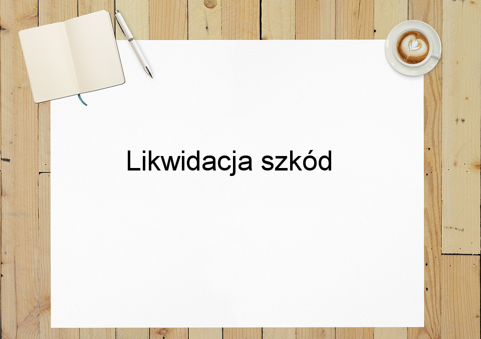 Likwidacja szkód