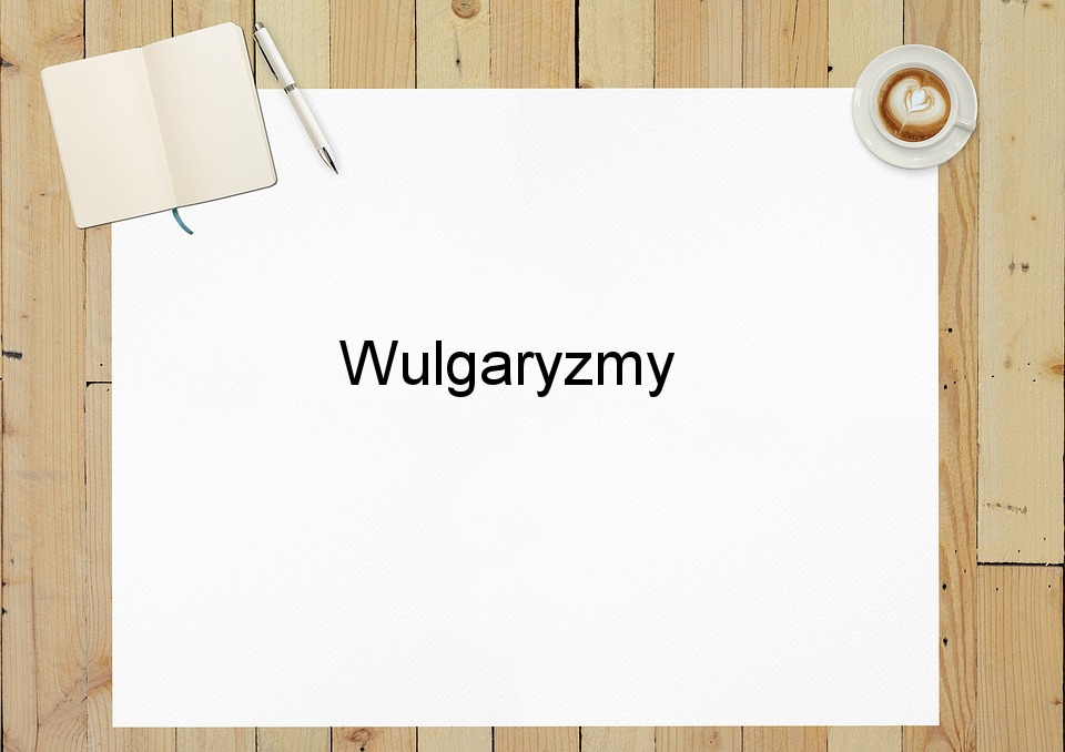 Wulgaryzmy