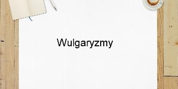 Wulgaryzmy
