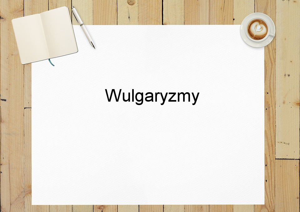 Wulgaryzmy