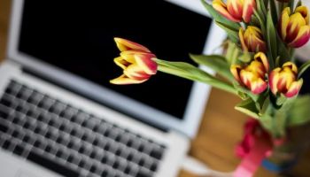 a4a3aac77472d405728886a968b547c6be9_350x200