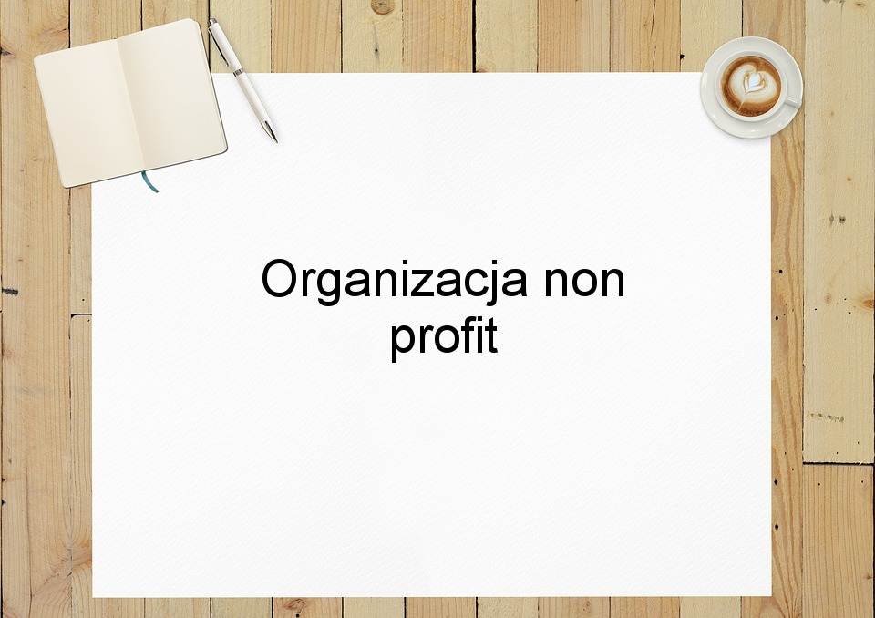 Organizacja non profit
